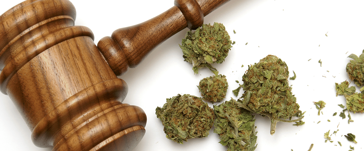 jeff sessions position attorney general jeff sessions position on cannabis based jeff sessions position attorney general jeff sessions position on cannabis based