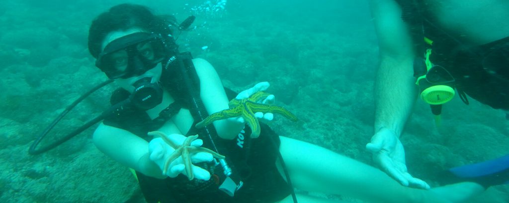 Scuba Diving with Marine Life