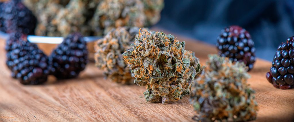 best selling marijuana strain in America