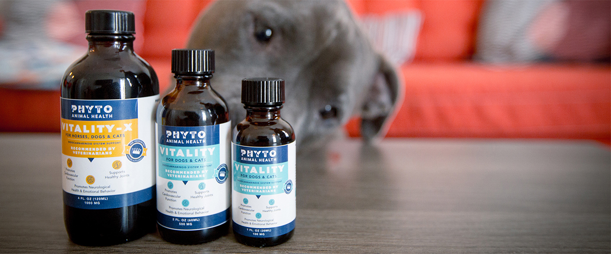How Long Does Cbd Last In A Dog S System Your Complete Guide to CBD for Pets - Medical Marijuana, Inc.