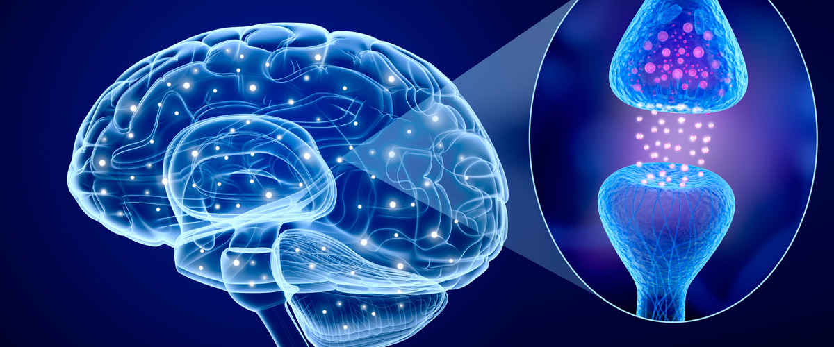 cannabinoid receptors and cancer
