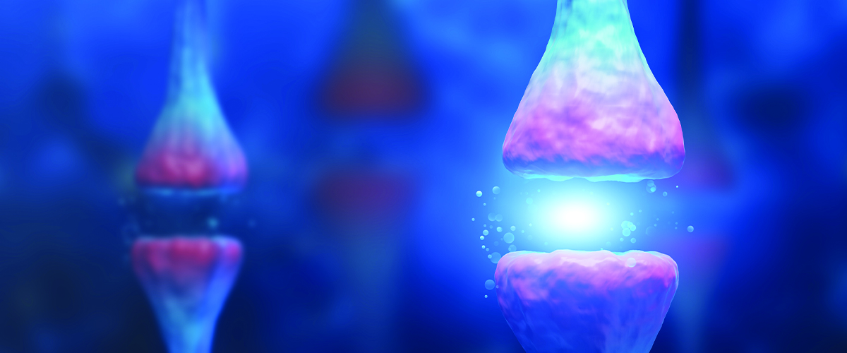 cannabinoid receptors